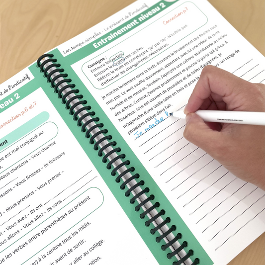 Toute la conjugaison